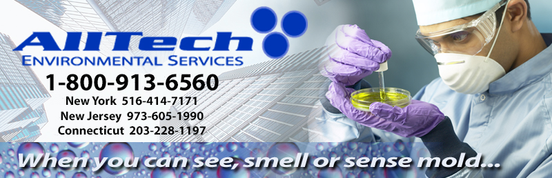 Free consultation for mold testing ny, mold testing nj and mold testing ct and mold removal